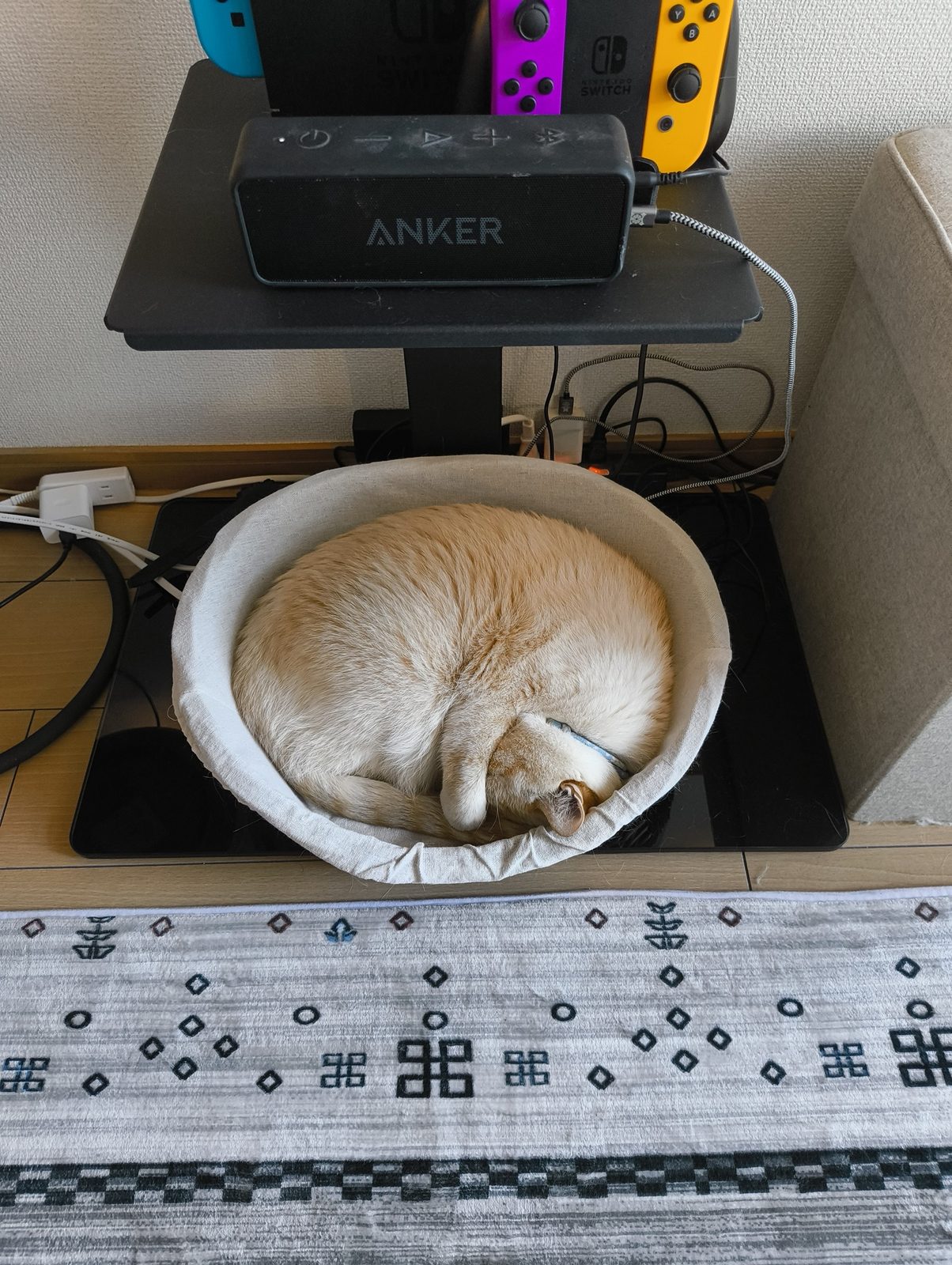 丸いベッドの中で体を丸め、顔を隠すように眠るあめちゃん