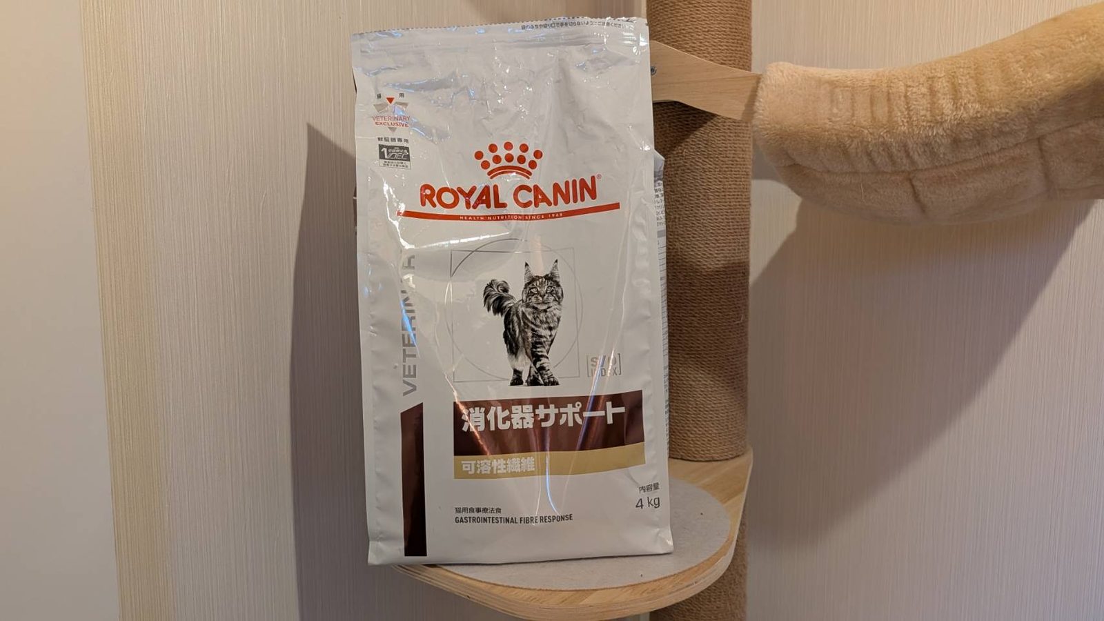 キャットタワーに置かれたロイヤルカナンの消化器サポート(可溶性繊維)の袋