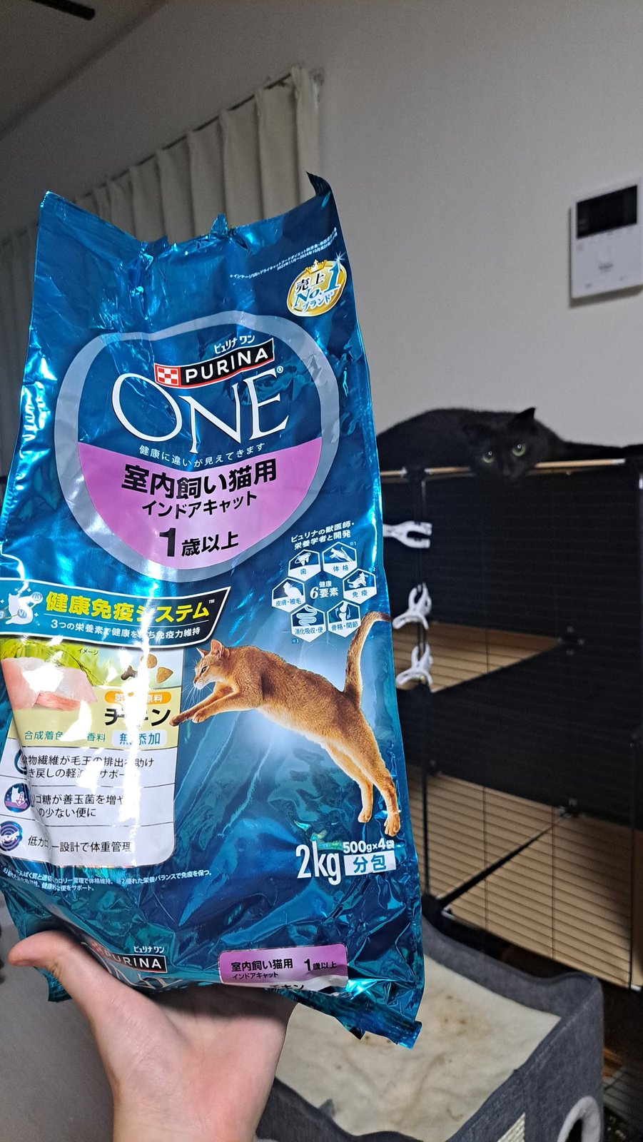 ピュリナワン室内飼い猫用の袋と、後ろのケージにいるはちくん